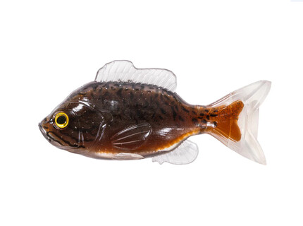 NALUCA SUNFISH UNRIGGED 11CM BLACK/BROWN 2BUC/PL