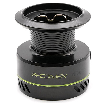 TAMBUR N-GAUGE SPECIMEN 5000