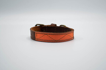 ZGARDA PIELE CU BANDA FOSFORESCENTA 3CM