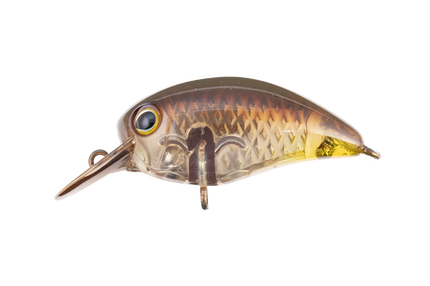 PANICRA SR 3,2CM/3,0G PAPANOINBOU
