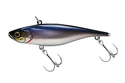 TN SLIM 8 8CM/12G SK FLASH HASU