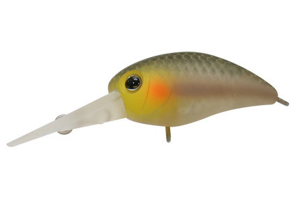 PANICRA MR 3,2CM/3,3G SHIZUOKA BIZIN