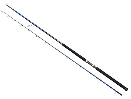 2BUC.SGS6 SHORE JIGGING MF MH 2,0-4,0/3,05M/30-100G