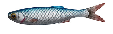 SHAD CRAFT DYING MINNOW 5,5CM/0,7G BLUE PEARL