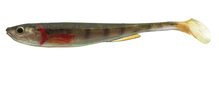 SHAD PROREX REAL SLIM LIVE 13,5CM/GOLD PERCH
